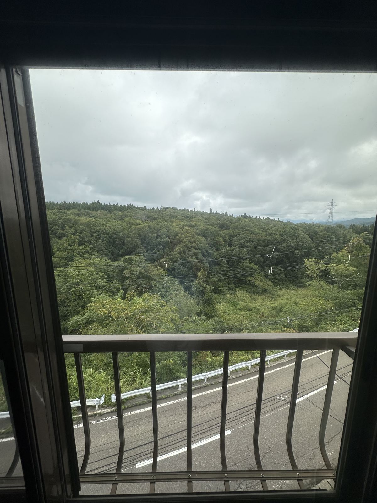 View of forest from an upper-floor window