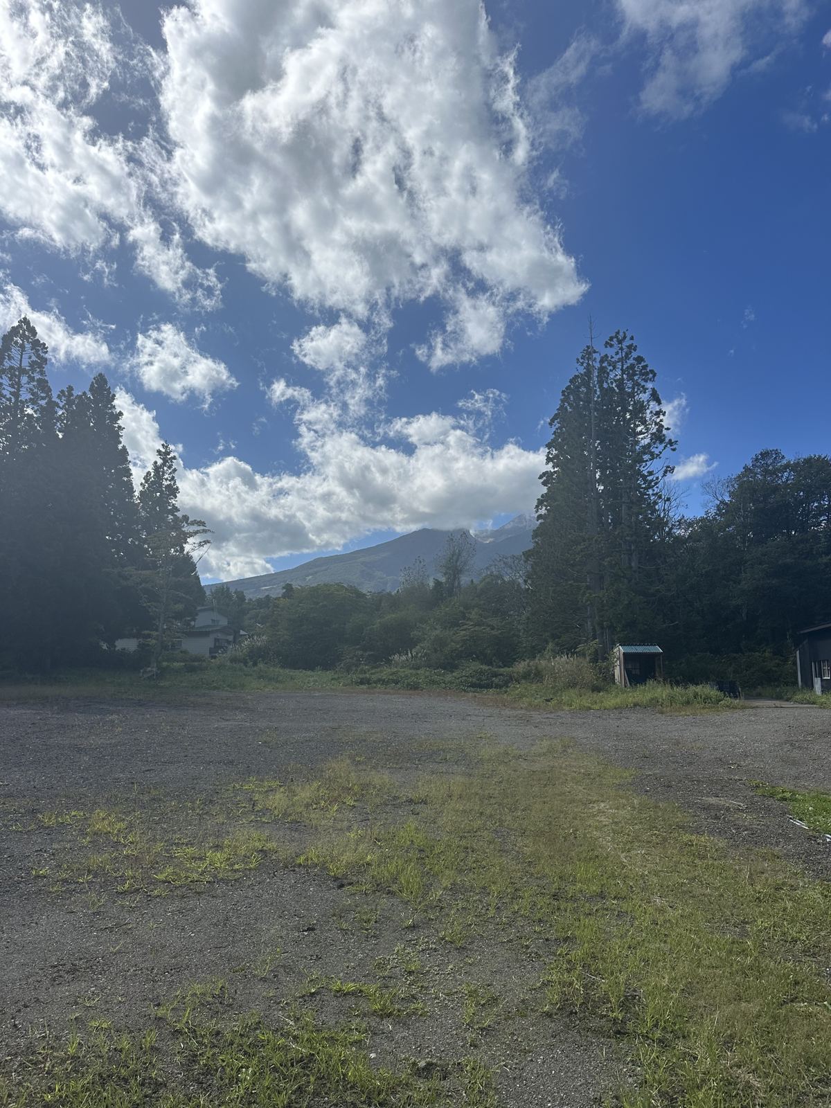 Open part of the site with mountains behind trees