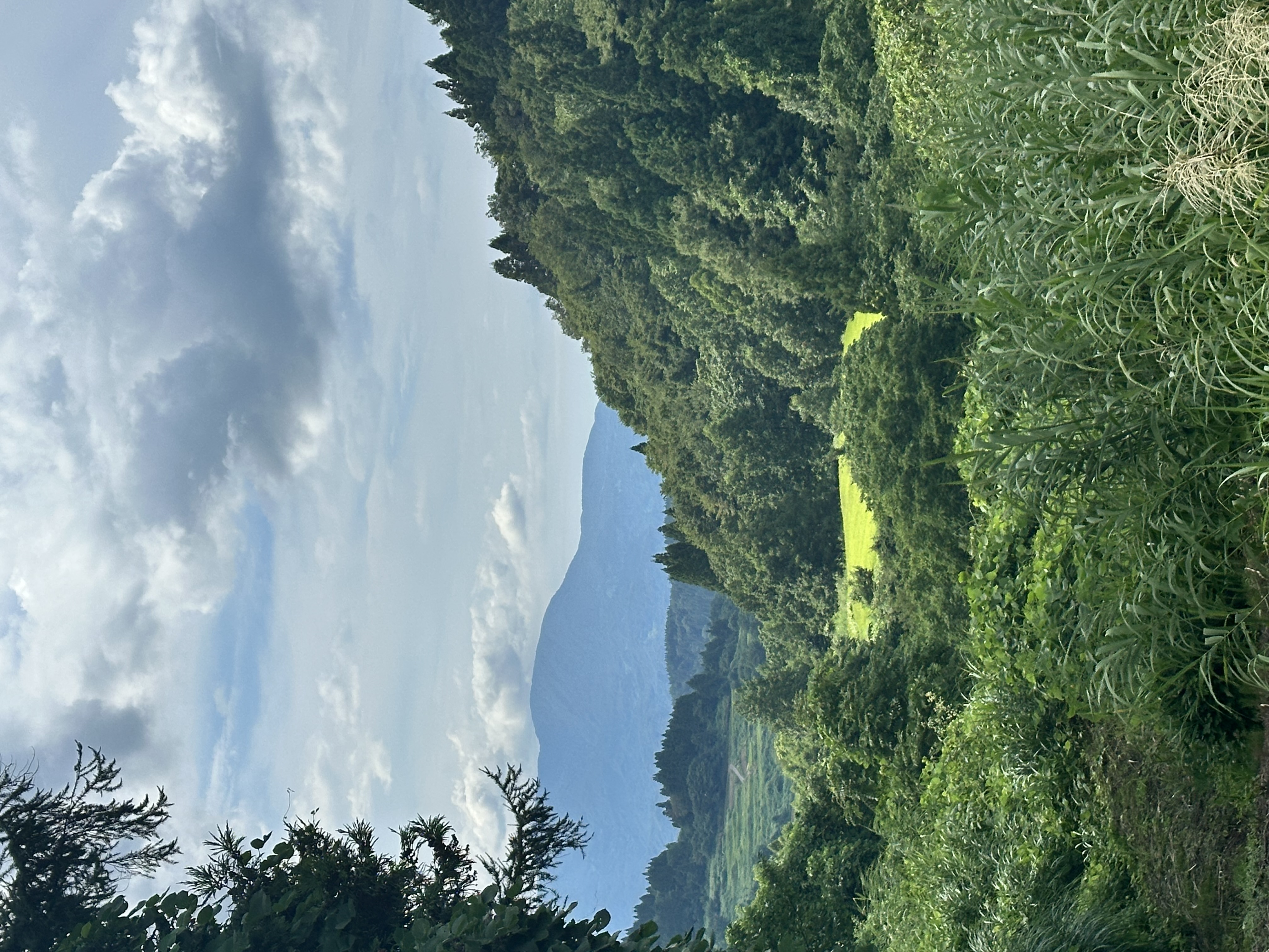 上越市板倉区上関田の中古住宅 新潟県上越市板倉区上関田 写真10